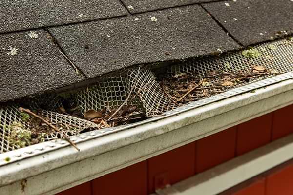 Michigan clogged gutters