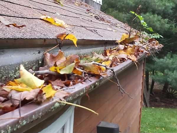 Greater Detroit clogged gutters