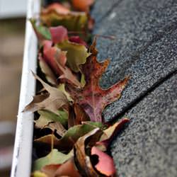 Clogged gutters filled with fall leaves  in Eastpointe